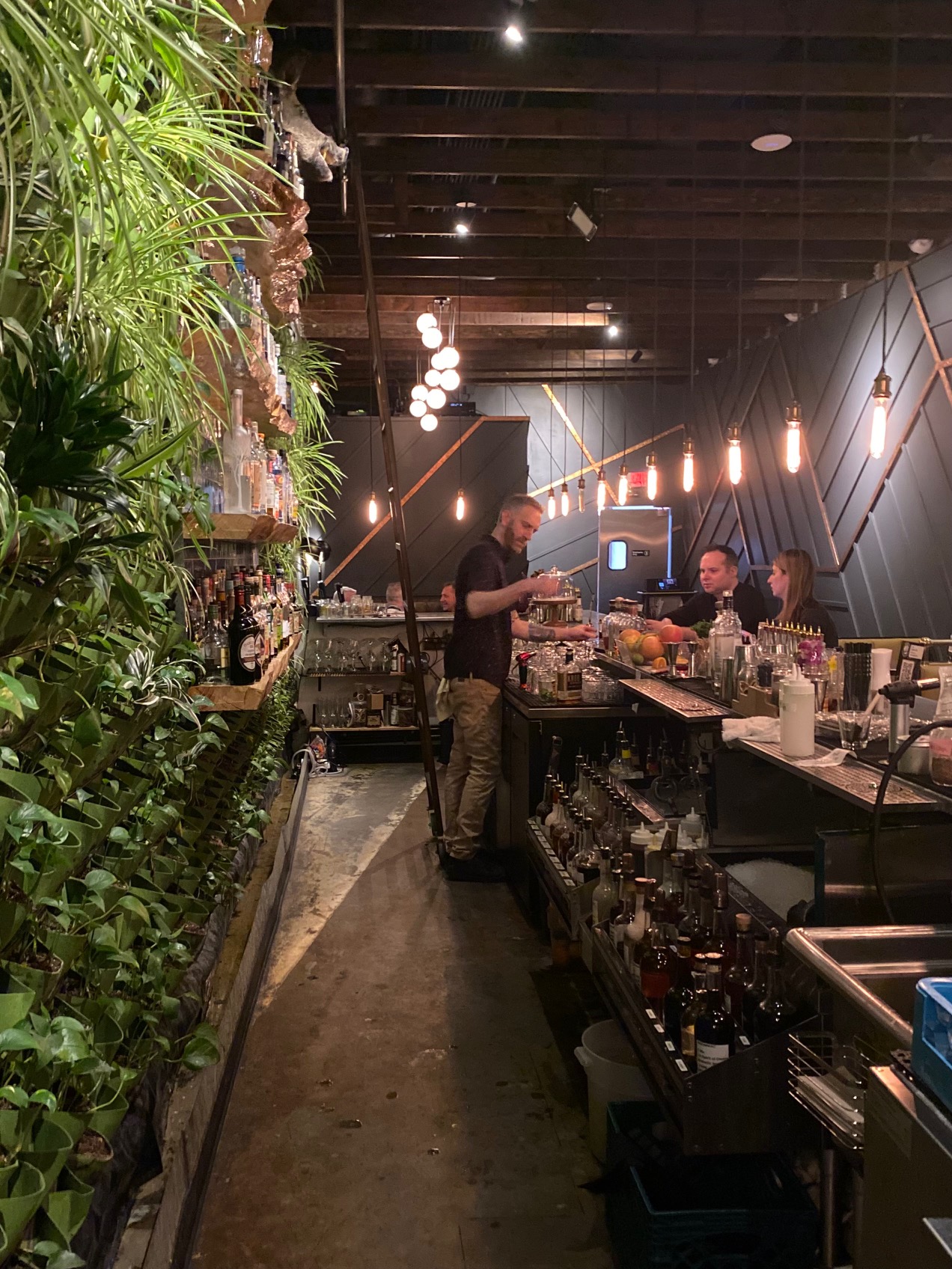 The squad visits pigtails and wren wolf in downtown phx 