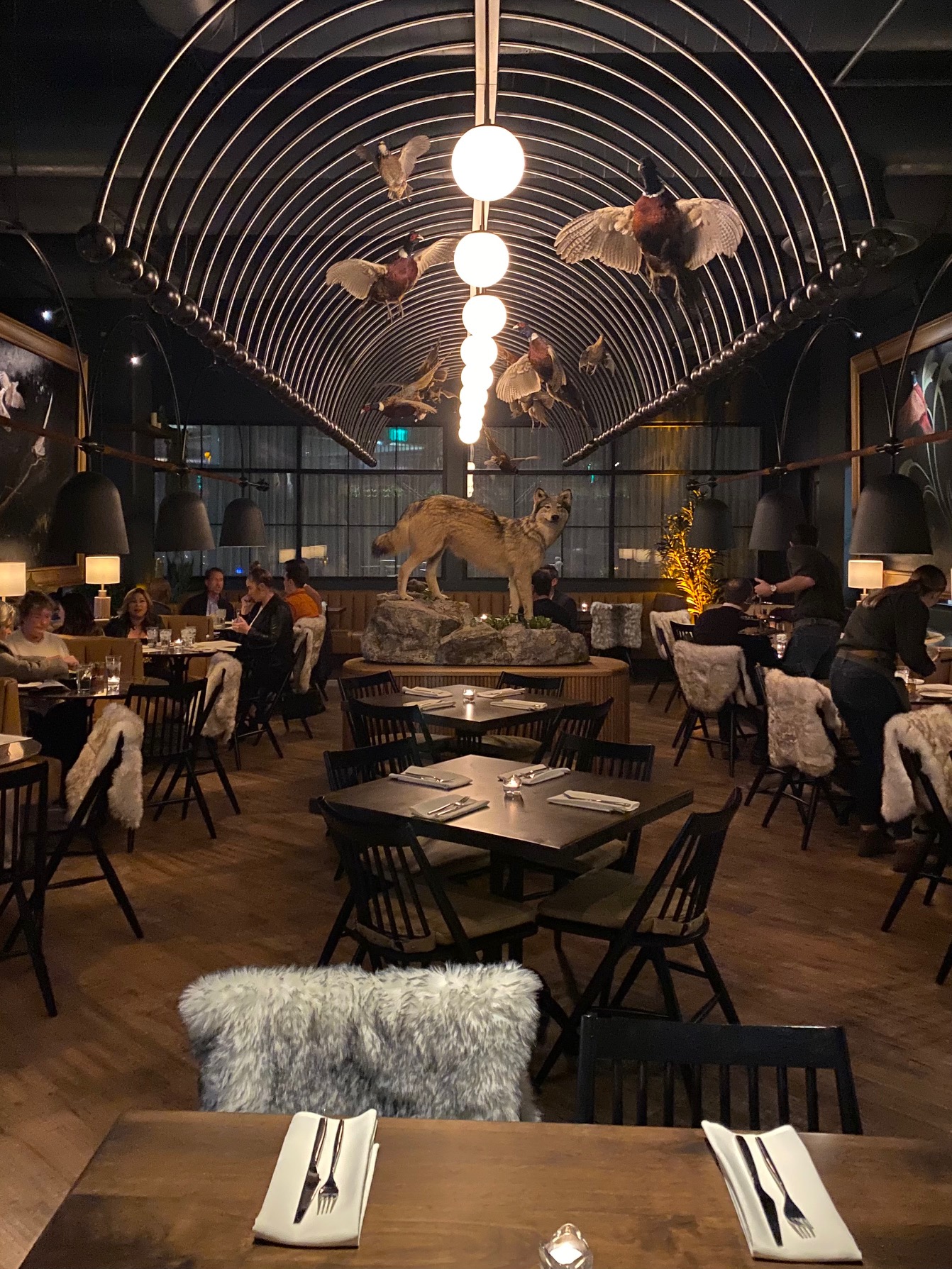 The squad visits pigtails and wren wolf in downtown phx 