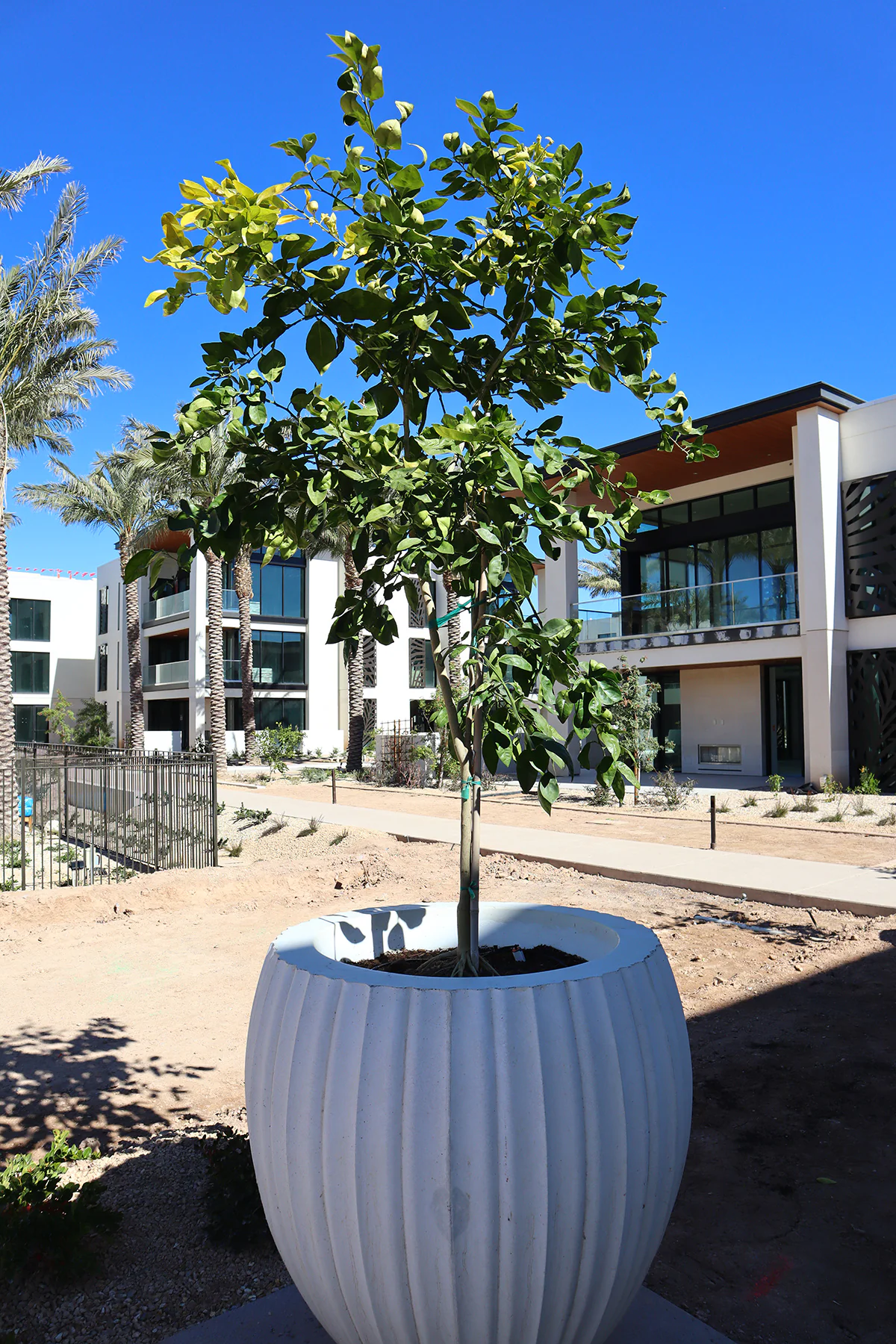 Photo of the Ritz-Carlton, Paradise Valley.