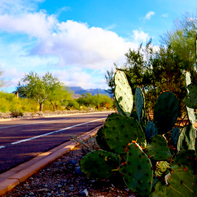 Photo of Scottsdale, Arizona.