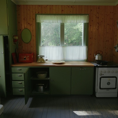 Rustic kitchen with green cabinets, wood paneling, and vintage appliances. Natural light through curtains.