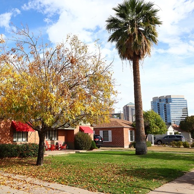 Neighborhood street view in Phoenix with brick homes, autumn foliage, palm tree, and city skyline backdrop.