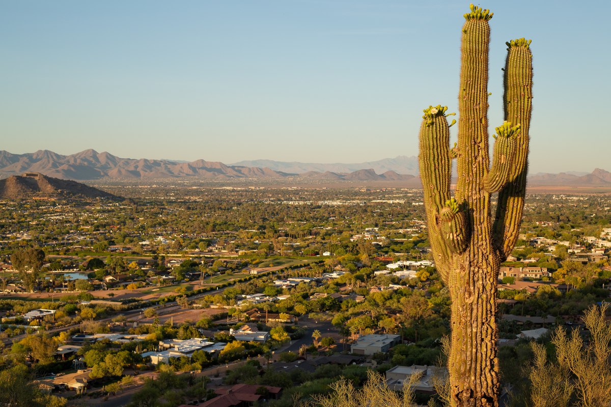 A cactus and a beautiful view from Echo Canyon walking trail looking out over Paradise Valley, Arizona