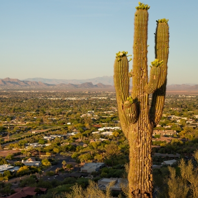 What’s The Weather Like In Paradise Valley, Arizona? A Rundown