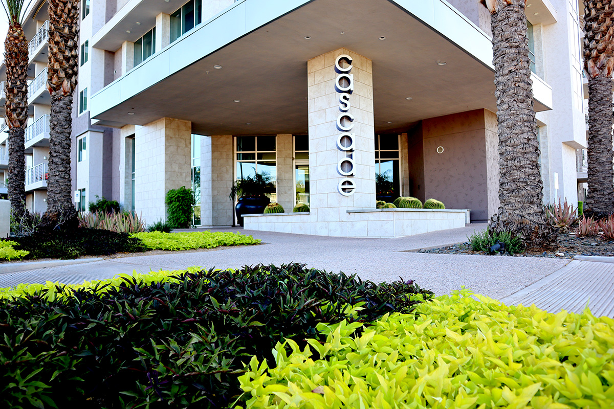 Entrance to Cascade Apartments with modern architecture, tall palm trees, and vibrant landscaping.